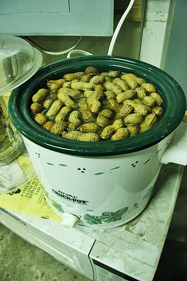 These hot boiled peanuts have been simmering in spicy water for over 7 hours. We will be munching on them in less than an hour. They smell so delicious.