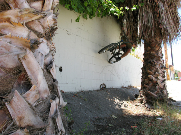 Eric Hennessee palm tree wallride by Nic Ferocious