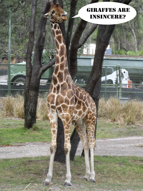 Zebras are reactionaries?