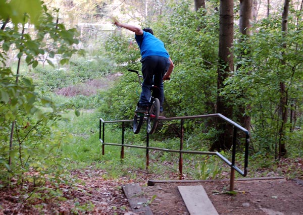 1 hander rail in the woods....