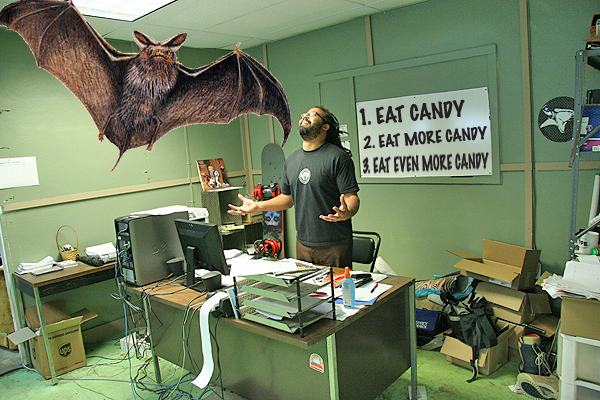 Damn, I didn't know there were bats that big.