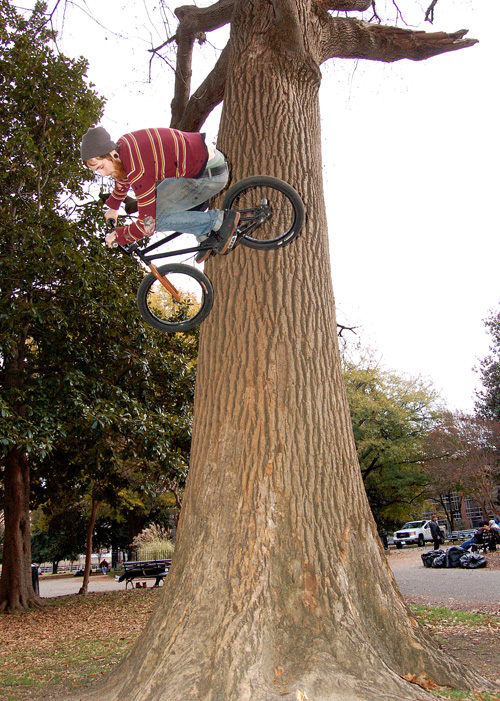 Neil Heisse, Howling mad tree ride...