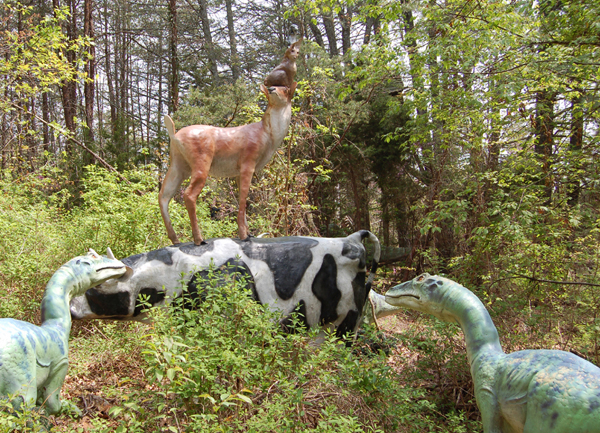 a rat on a rabbit, on top of a deer on top of a cow?