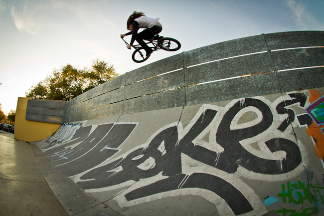 Tom Blyth- Barcelona