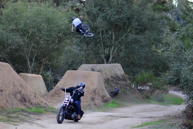 A squirrely dog, a harley and Van Homan