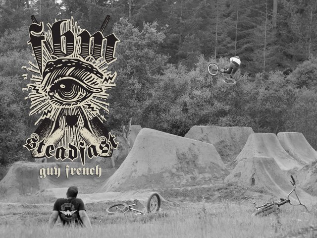 Steadfast- Guy French