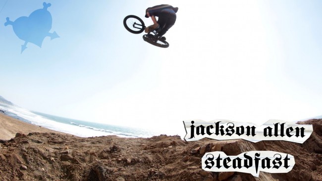 Steadfast- Jackson Allen