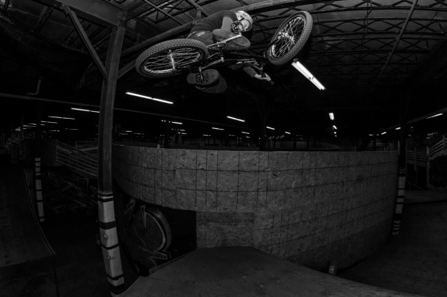 Steadfast Indoors