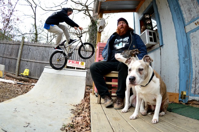 Dogs, Bowls and DIY