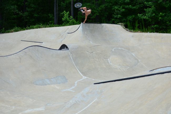 Whipsnake